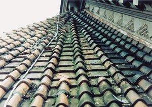Fasady - Historyczne modele dachówek w renowacji dachów