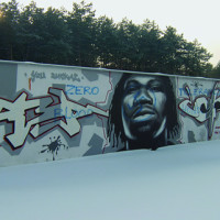 Grafitti. Jak zabezpieczyć ściany przed niechcianą “sztuką”